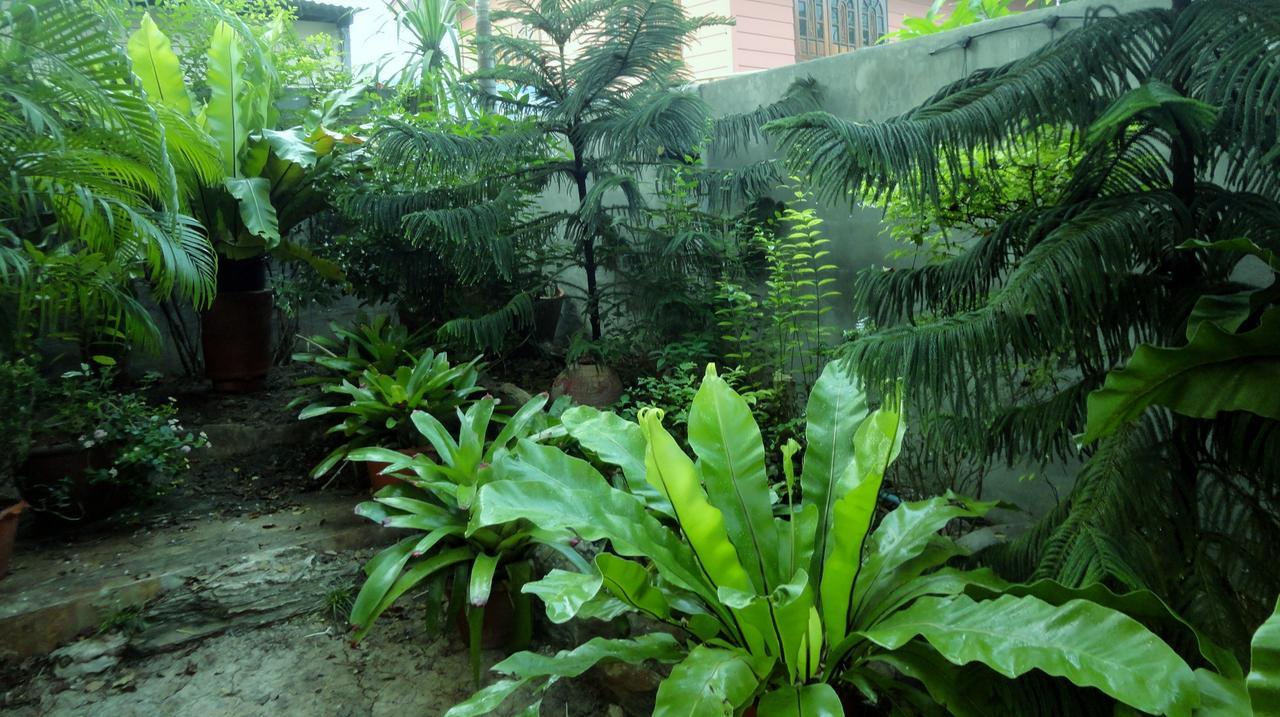 Moradok Thai Guesthouse Аюттхая Экстерьер фото